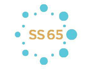 Empresa de Resolução SS 65