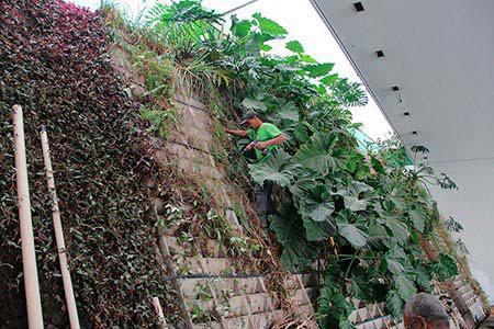 Sistema de Irrigação para Jardim Vertical