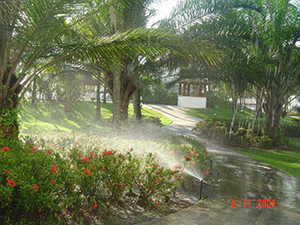 Sistemas de Automação de Irrigação de Jardins