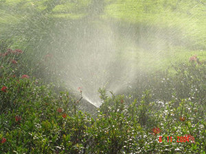 Sistemas de Automação de Irrigação de Jardins